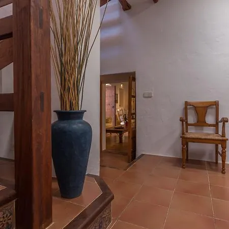 Cases Altes D'arabi Tatil Evi